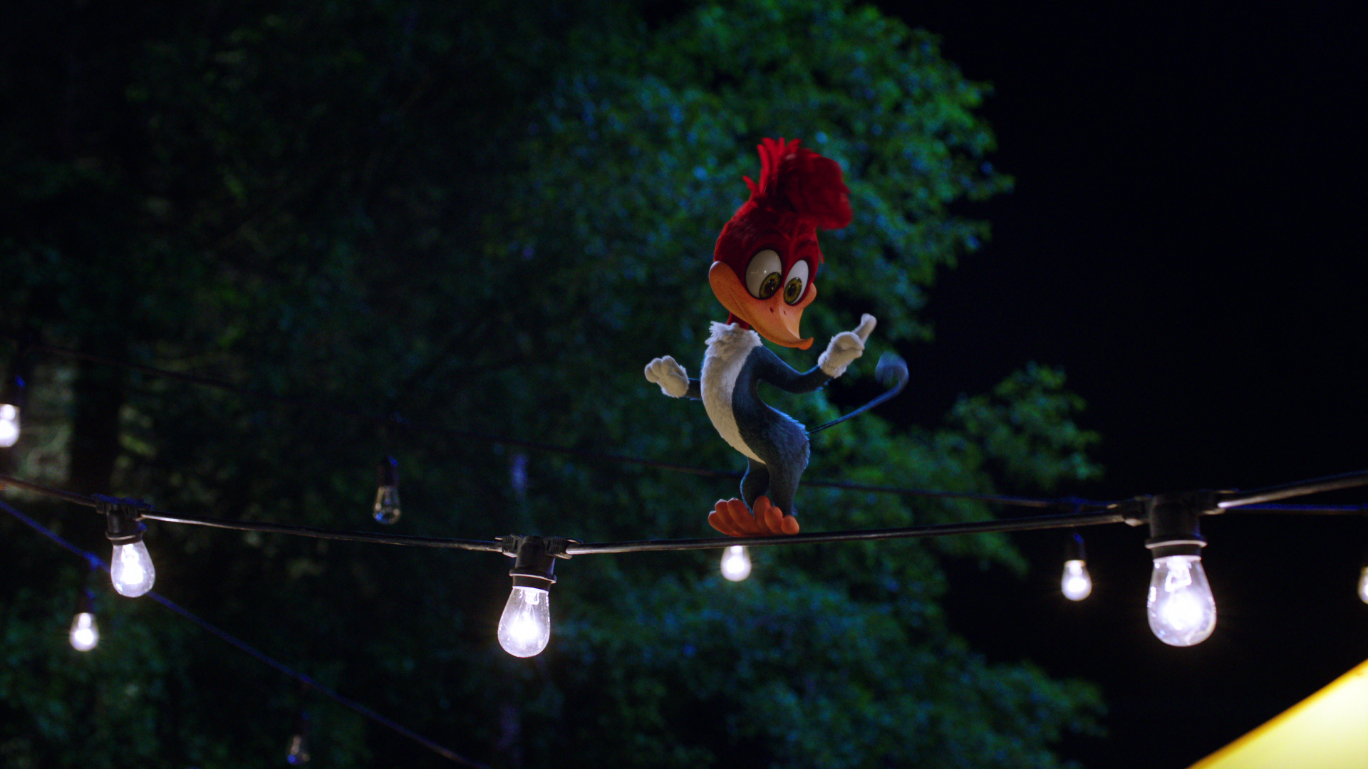Woody Woodpecker Woody Woodpecker