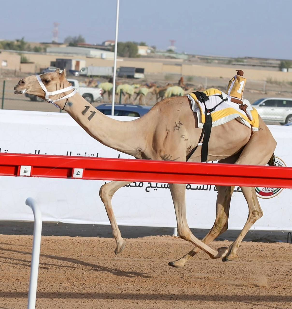 فوز بالمركز الاول