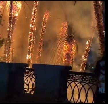 حريق الاشجار