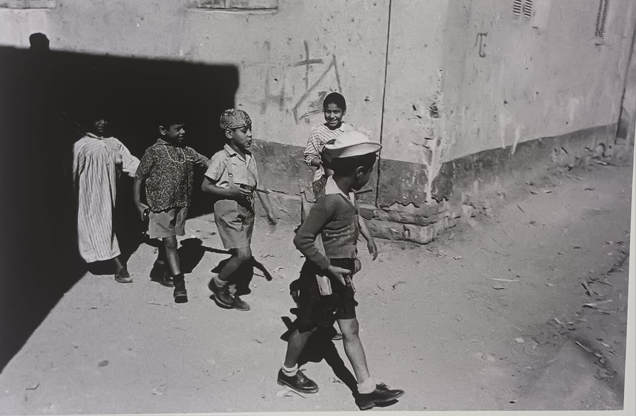 6559410e-e34c-4131-bc28-991a5df41562