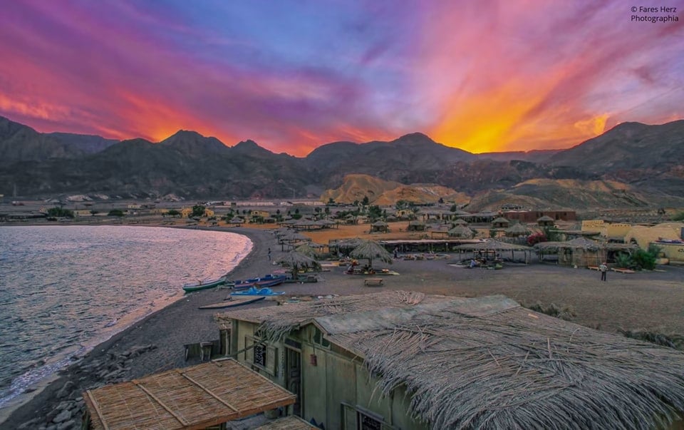 واحة من الجمال واحة من الجمال