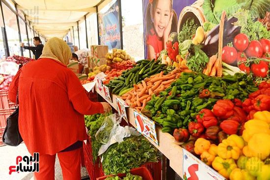 اقبال المواطنين على شراء المنتجات بسوق اليوم الواحد بمدينة نصر ضمن افتتاح المرحلة الثانية