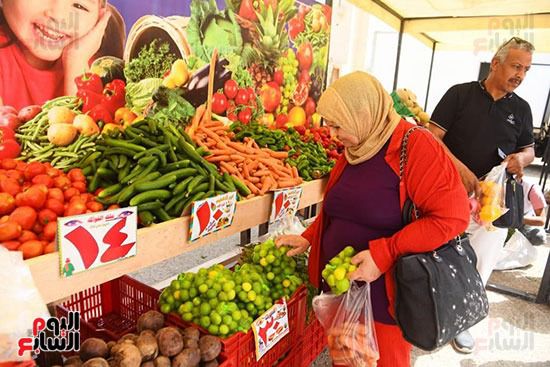طرح منتجات الخضراوات والفاكهة بسوق اليوم الواحد بمدينة نصر