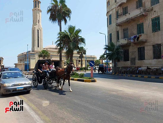 نزهه-صيفية-بالحنطور نزهه-صيفية-بالحنطور