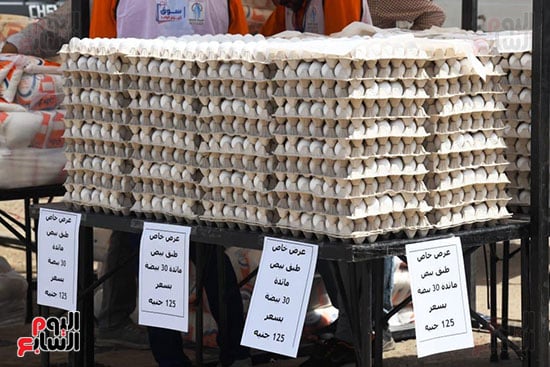 عروض على أطباق البيض عروض على أطباق البيض