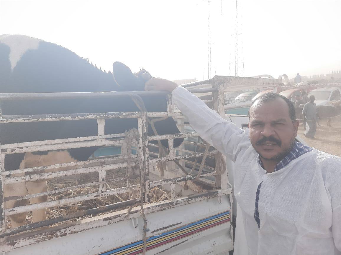 فحص وتحصين الماشية في الأسواق قبل عيد الأضحى فحص وتحصين الماشية في الأسواق قبل عيد الأضحى