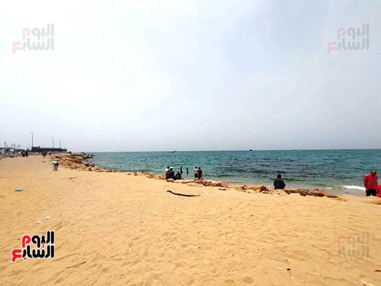 تقلبات-ربيعية تقلبات-ربيعية