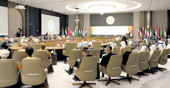 القمة التنموية القمة التنموية