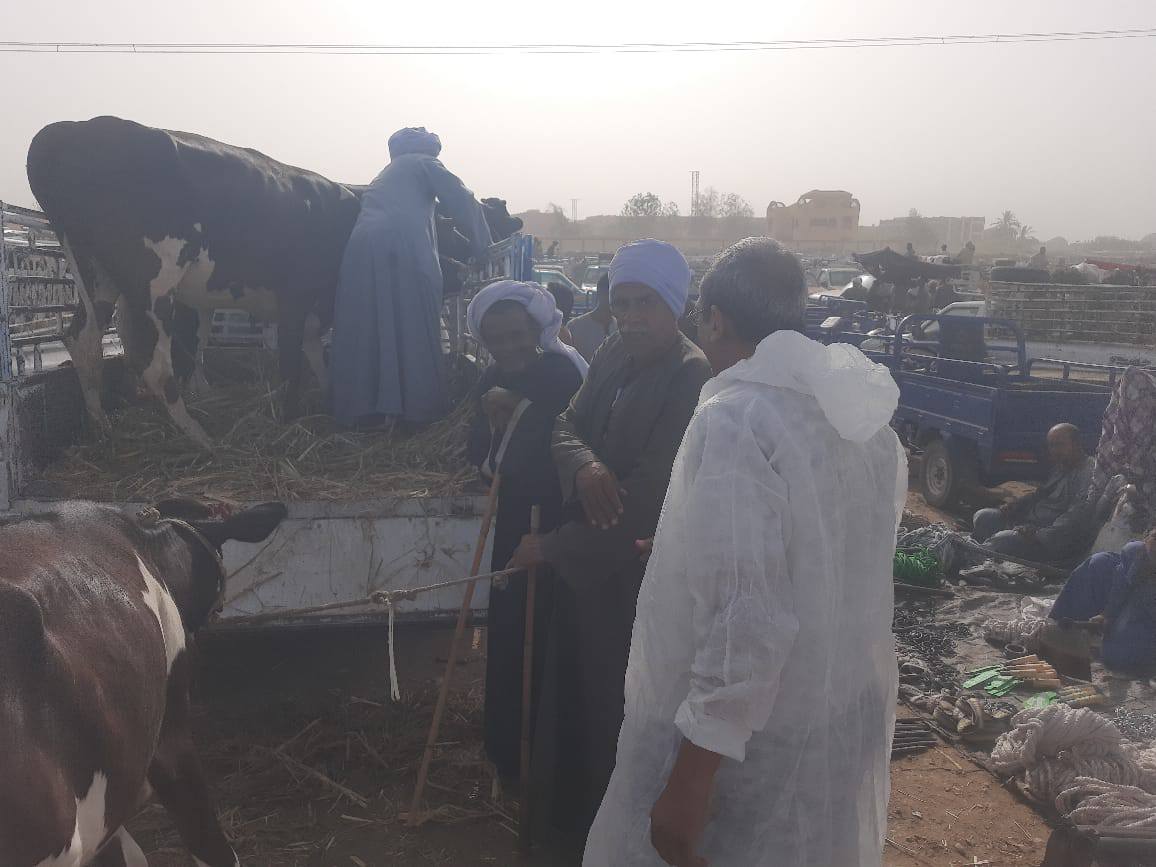 متابعة فحص العجول والأبقار في الأسواق قبل عيد الأضحى متابعة فحص العجول والأبقار في الأسواق قبل عيد الأضحى