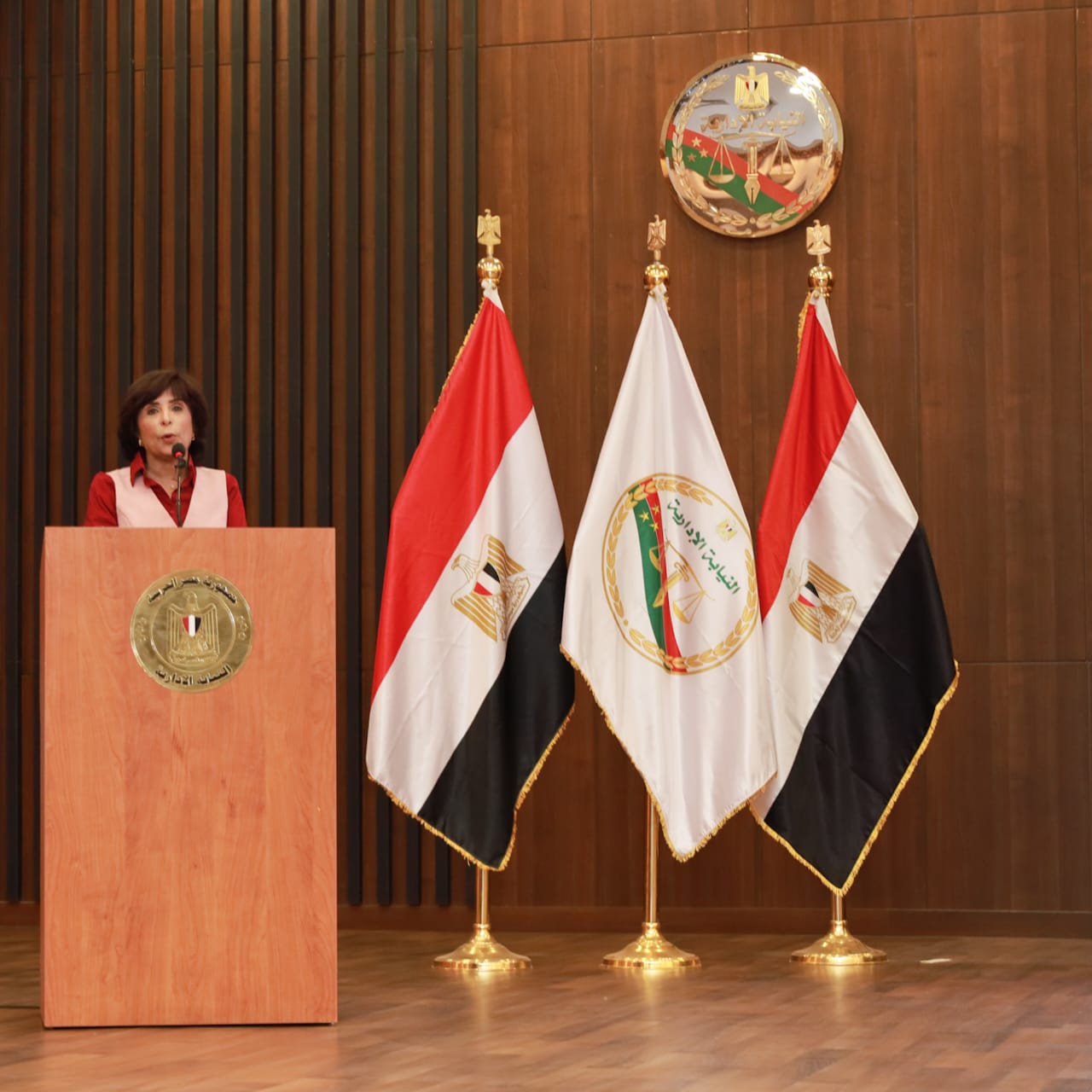 فعاليات استعراض “جهود الدولة في تمكين الأشخاص ذوي الإعاقة (13)