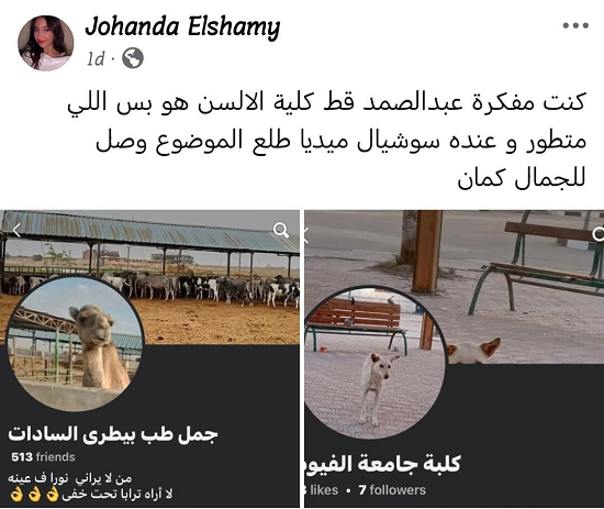 سوشيال ميديا الحيوانات الأليفة