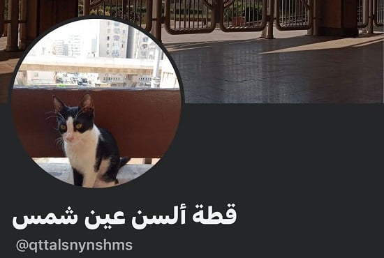 قطة ألسن عين شمس قطة ألسن عين شمس