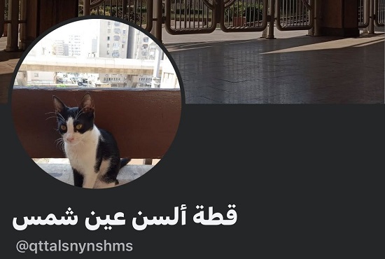 قطة ألسن عين شمس