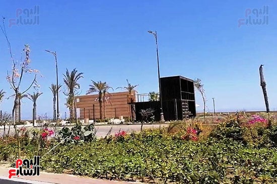شجيرات-وزراعات-مختلفه-علي-الكورنيش-الذكي شجيرات-وزراعات-مختلفه-علي-الكورنيش-الذكي