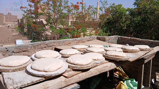 رص-العيش-تحت-أشعة-الشمس-