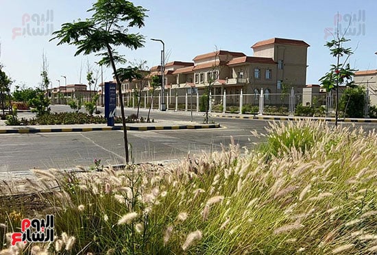 حي-داخل-مدينة-المنصورة-الجديدة حي-داخل-مدينة-المنصورة-الجديدة