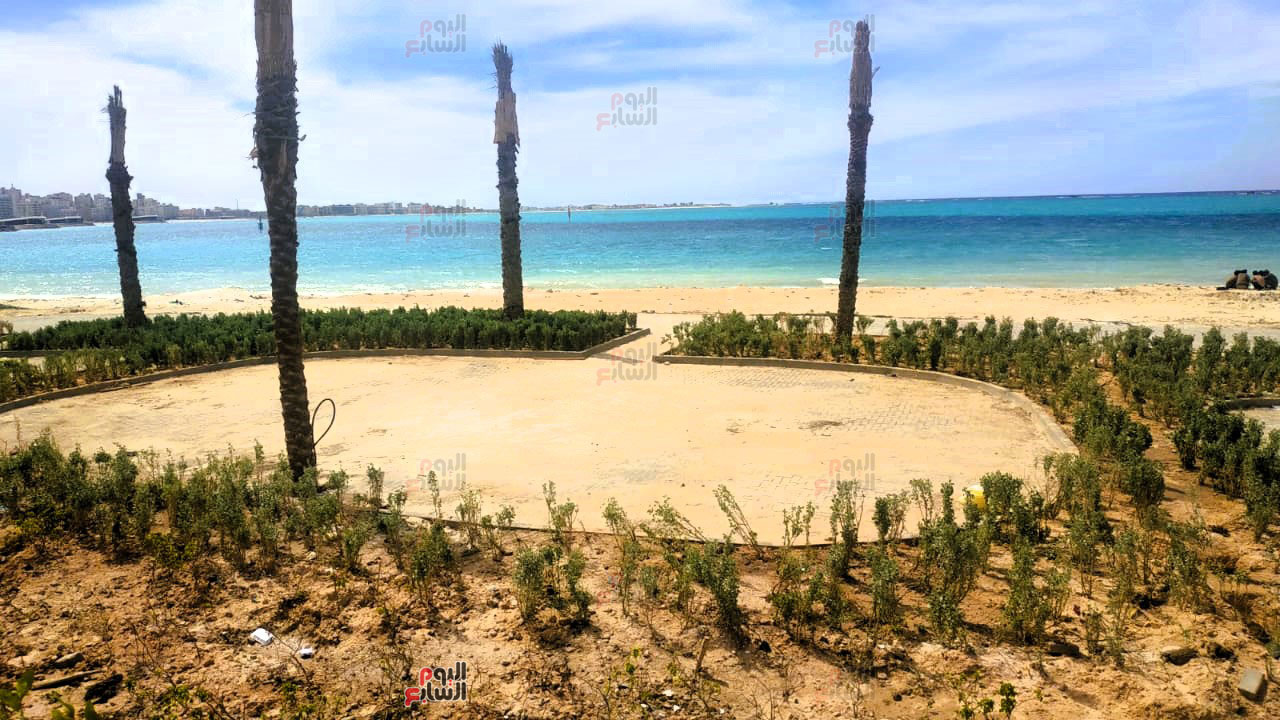 تجميل-وزراعة-مناطق-خضراء---كورنيش-مطروح تجميل-وزراعة-مناطق-خضراء---كورنيش-مطروح