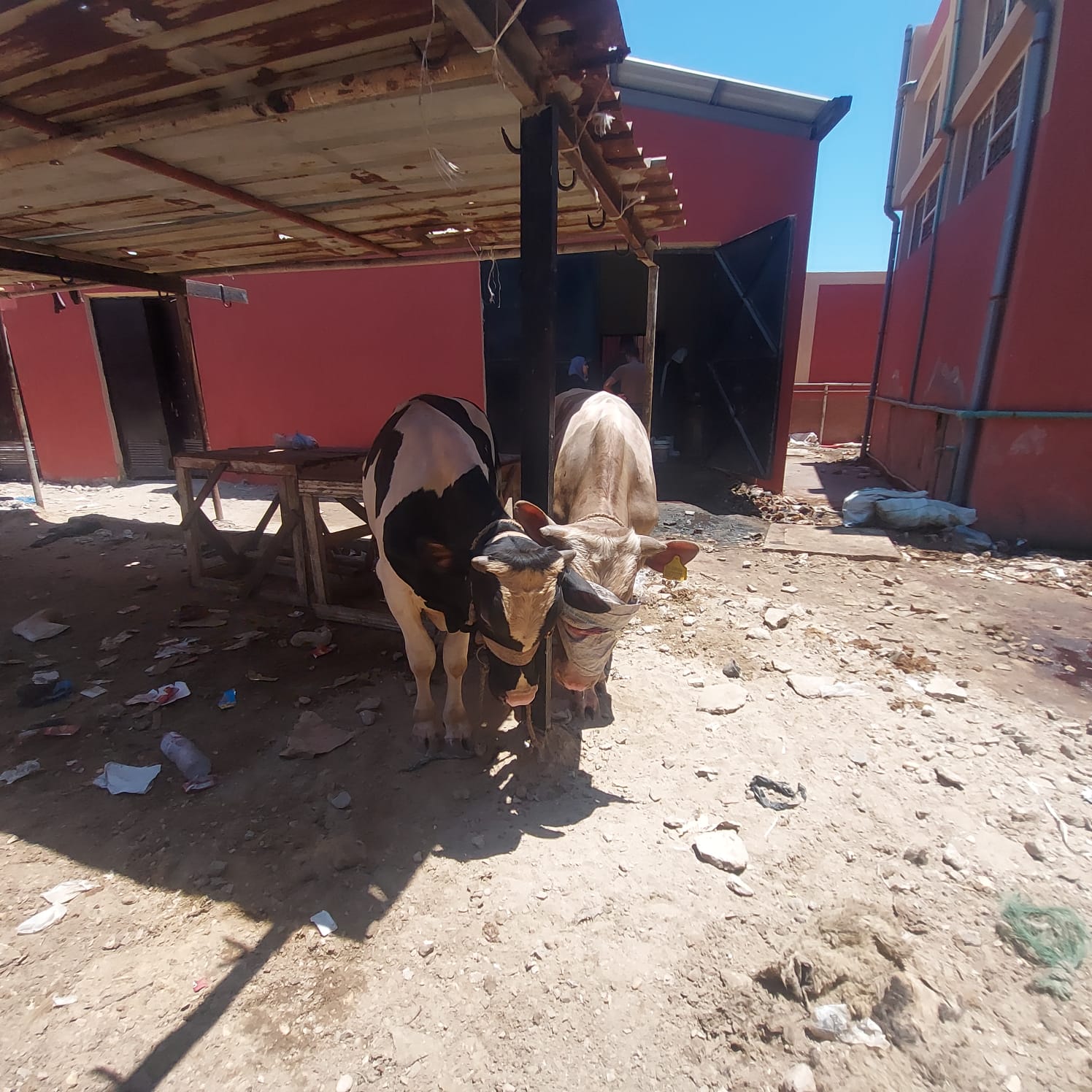اماكن الانتظار اماكن الانتظار
