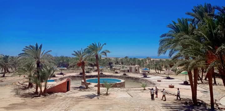 العيون الكبريتية بحمام موسى