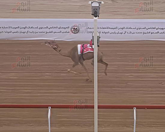الفوز-بالمركز-الاول-وجائزة-السيف-الفضي