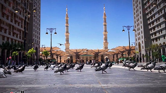 استقبال مهيب لحجاج القرعة في المدينة المنورة (24)