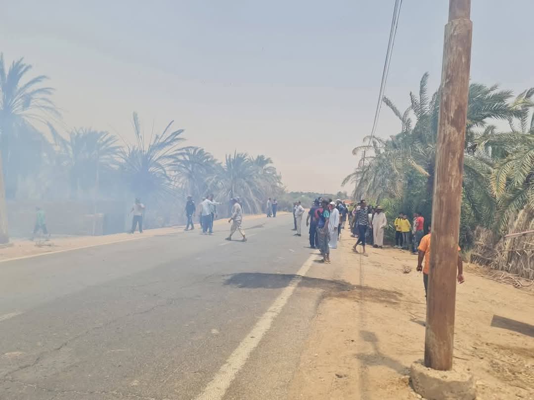 حريق مزرعة بقرية القصر بالوادى الجديد حريق مزرعة بقرية القصر بالوادى الجديد