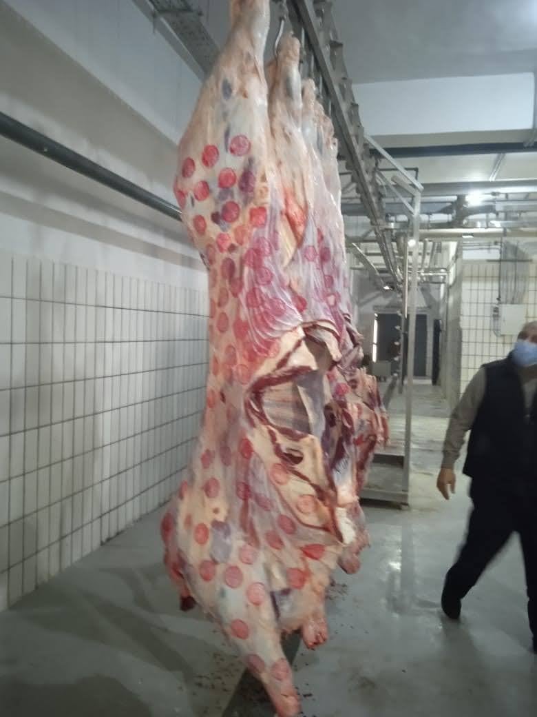 مجزر العامرية مجزر العامرية