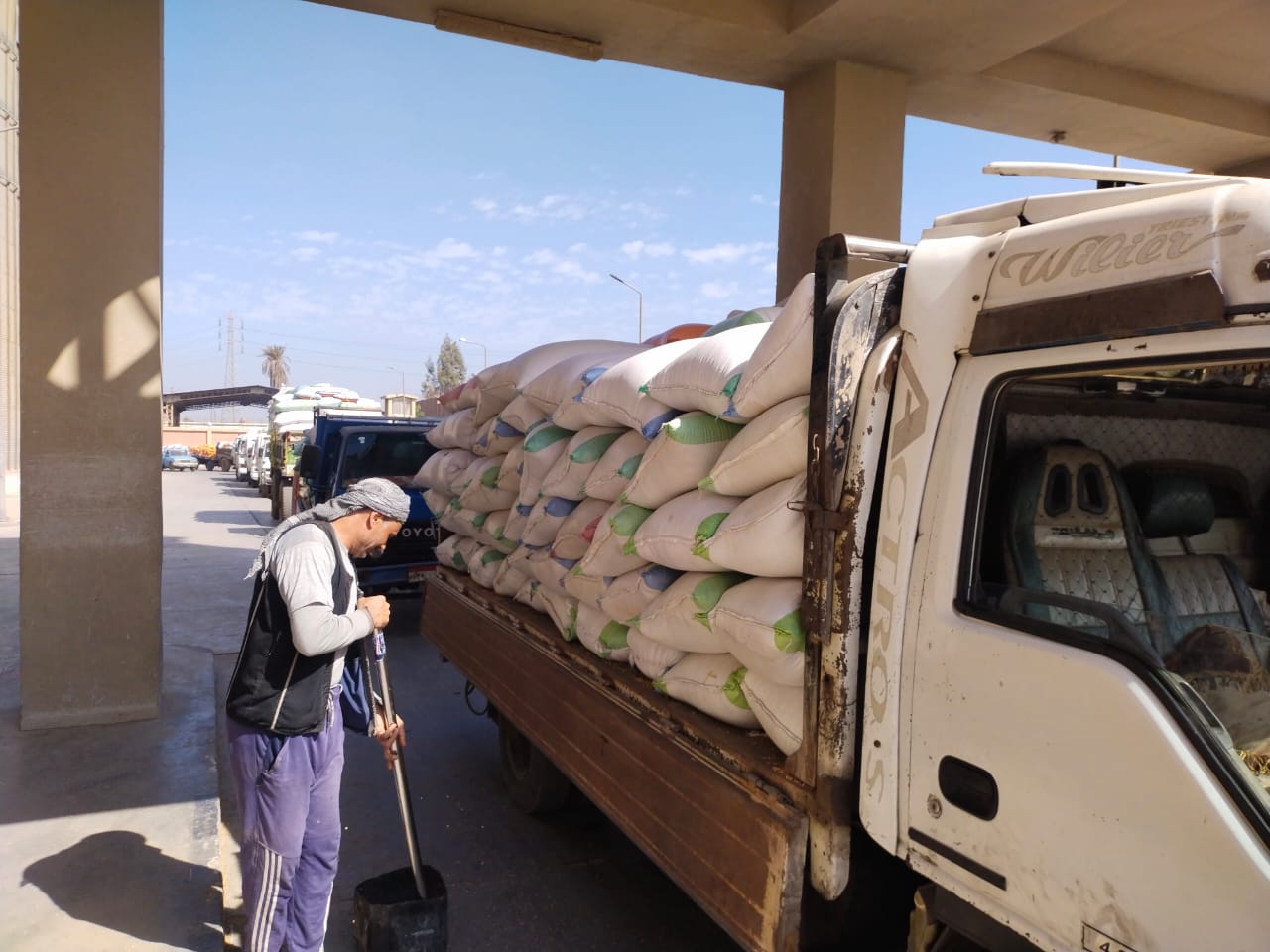 سحب العينات