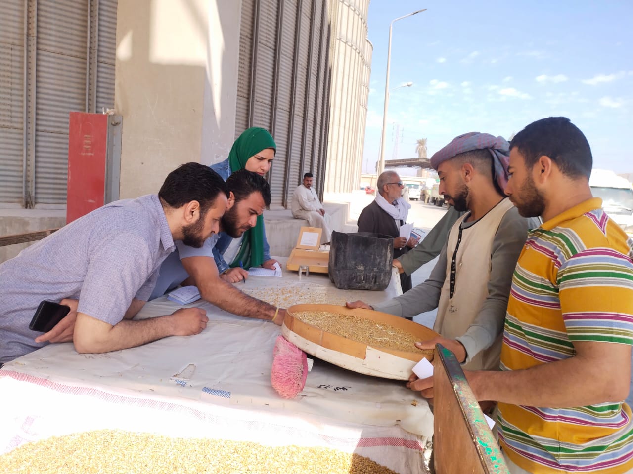 فحص العينات_1