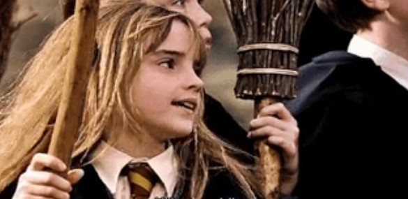 هيرميون جرينجر هيرميون جرينجر