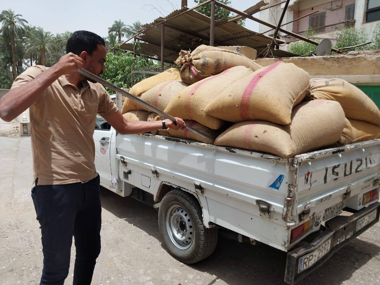 سحب العينات من القمح خلال عمليات التوريد للشون والصوامع سحب العينات من القمح خلال عمليات التوريد للشون والصوامع