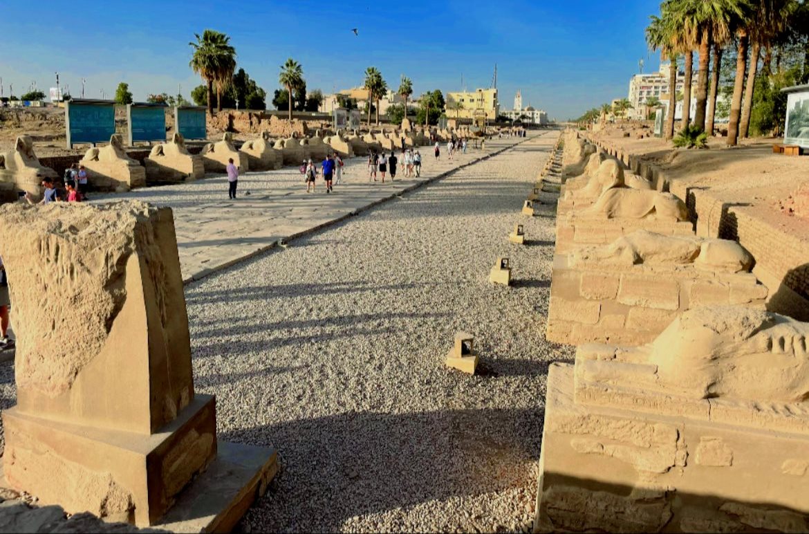 جانب من متعة السياح فى طريق الكباش