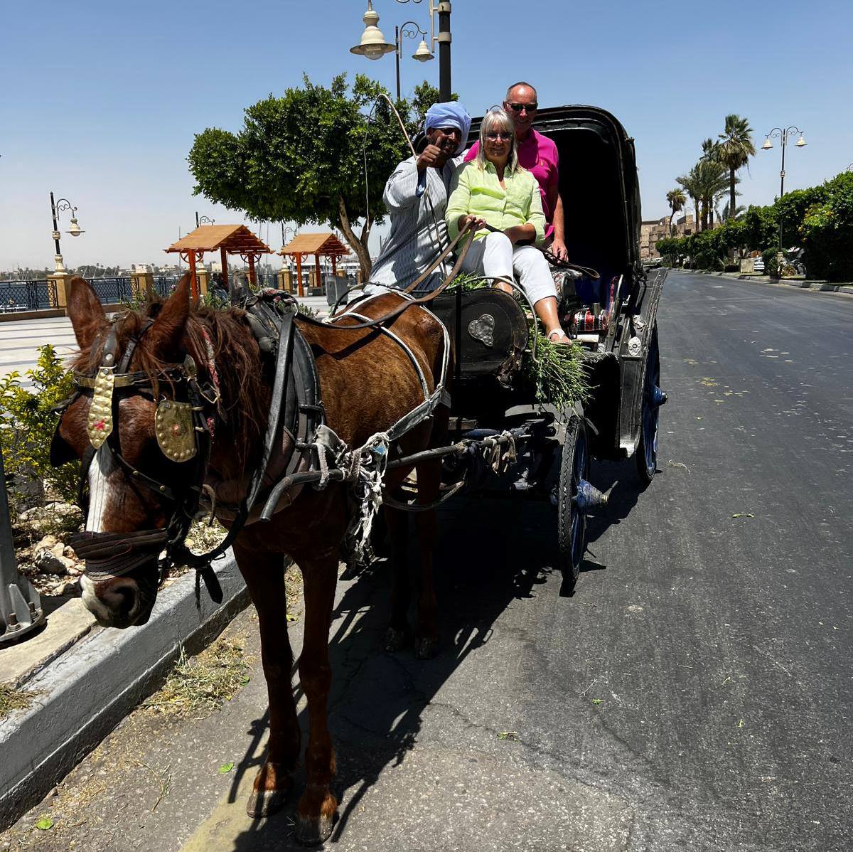 استمتاع الأجانب على متن رحلات الحنطور