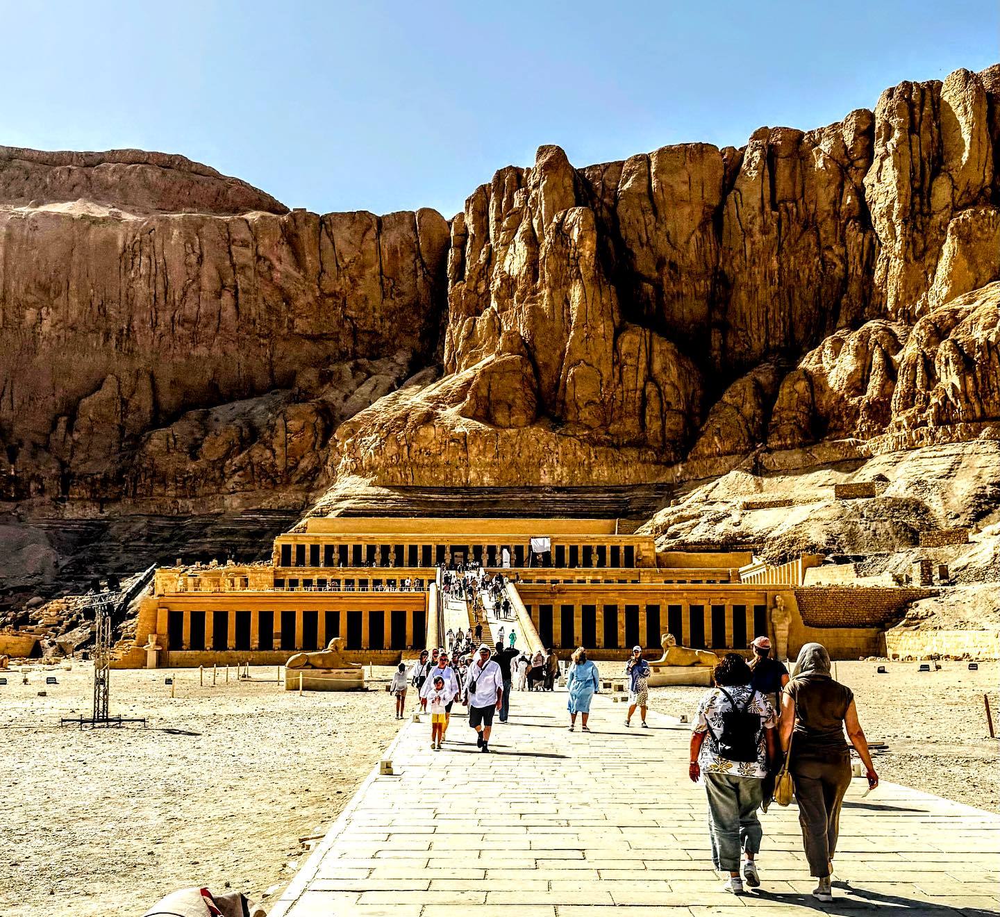 الأفواج السياحية من حول العالم يتحدون حرارة الطقس بمعبد حتشبسوت