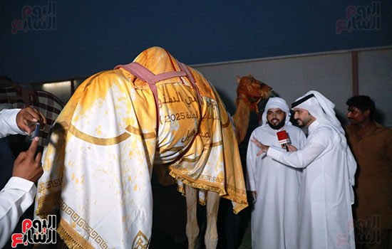 الاحتفال-ب-مبشره-بعد-تحقيق-الفوز الاحتفال-ب-مبشره-بعد-تحقيق-الفوز