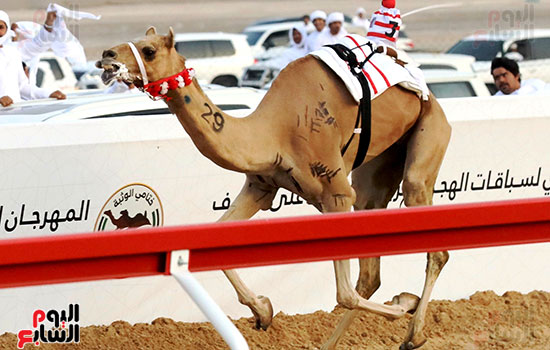 المطية-_مبشره_-الفائزة-بالسيف-الذهبي-و٥٠٠-مليون المطية-_مبشره_-الفائزة-بالسيف-الذهبي-و٥٠٠-مليون
