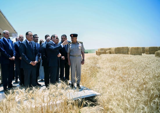 الرئيس السيسي (5)