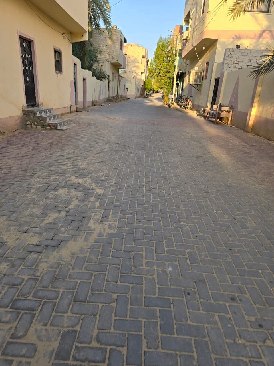 تركيب بلاط الإنترلوك بحى السبط البحرى تركيب بلاط الإنترلوك بحى السبط البحرى