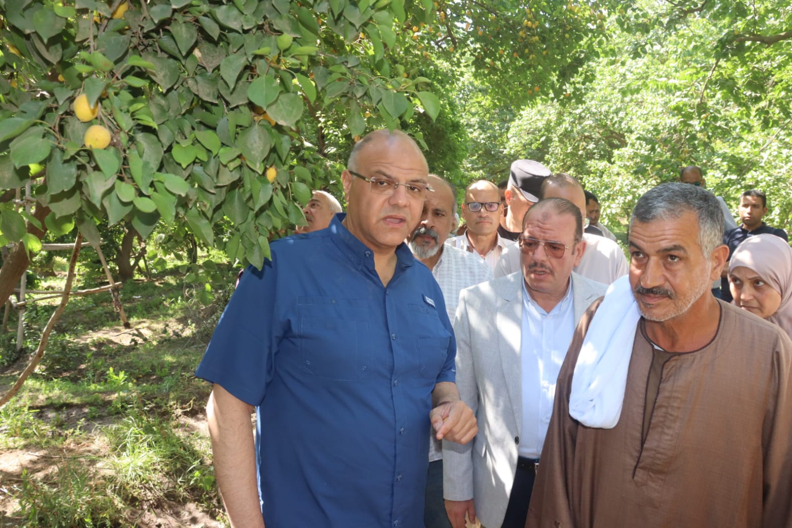 محافظ القليوبية محافظ القليوبية