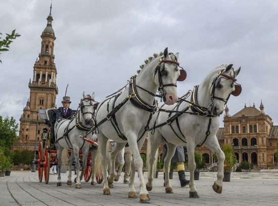 مهرجان الخيول الإسبانية مهرجان الخيول الإسبانية
