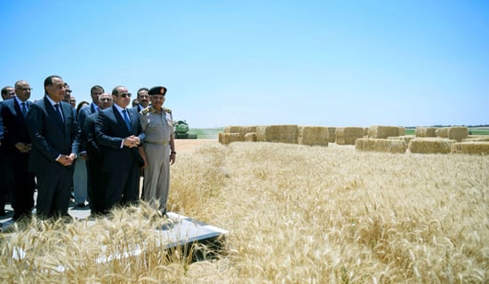 الرئيس السيسي (3)