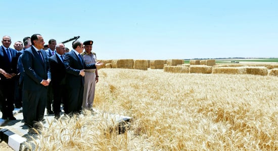 الرئيس السيسي (4)