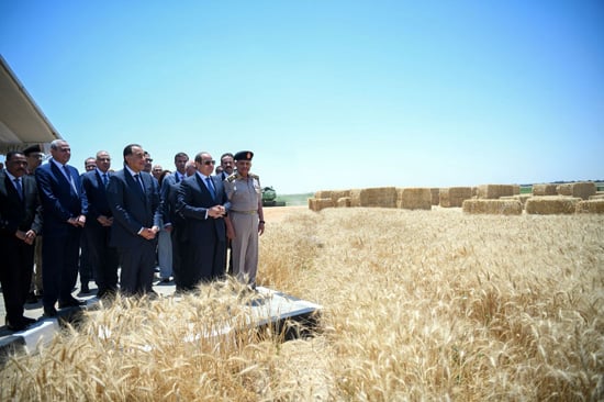 الرئيس السيسي (1)