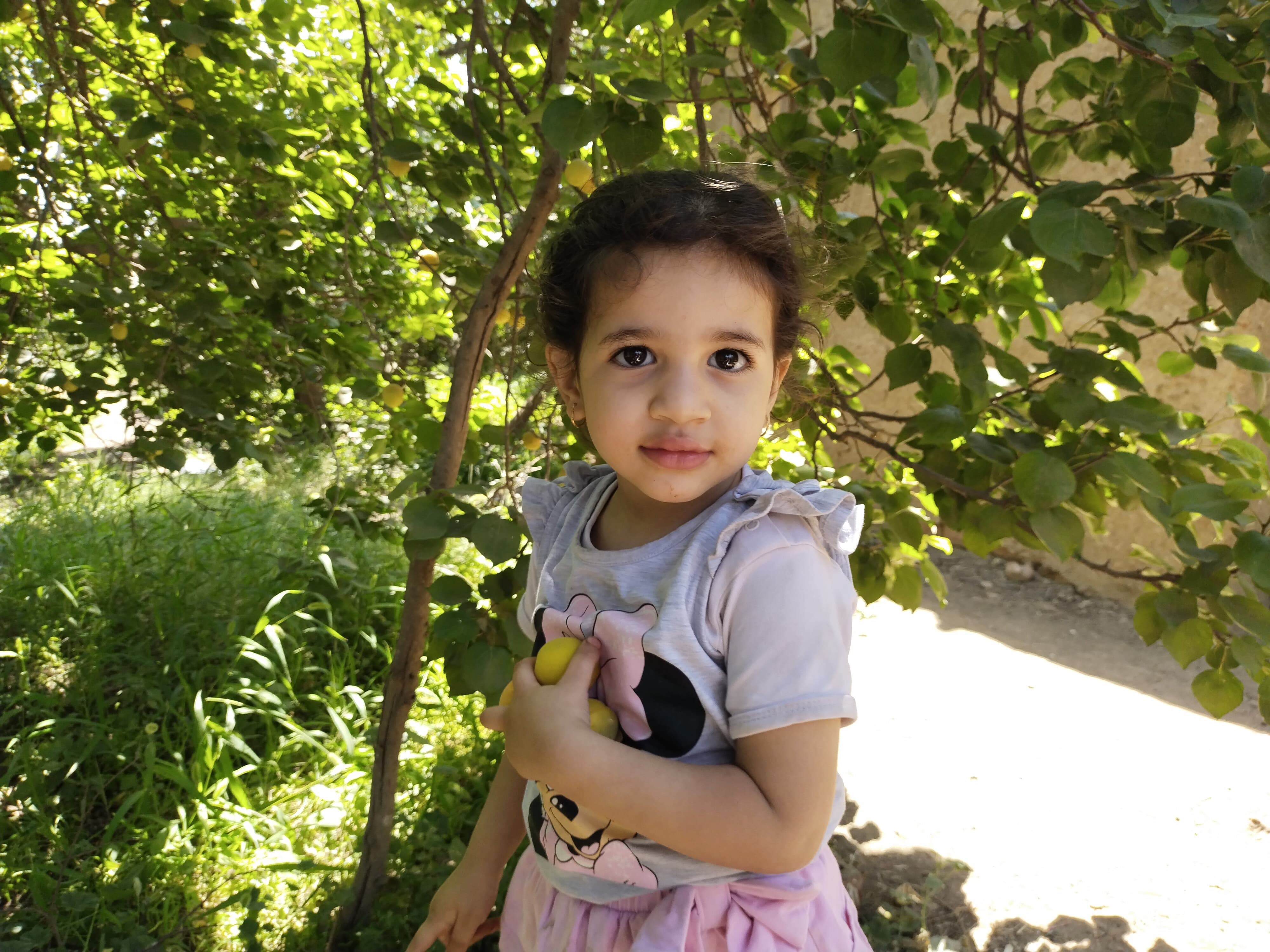 الطفلة فريدة تحمل المشمش الطفلة فريدة تحمل المشمش
