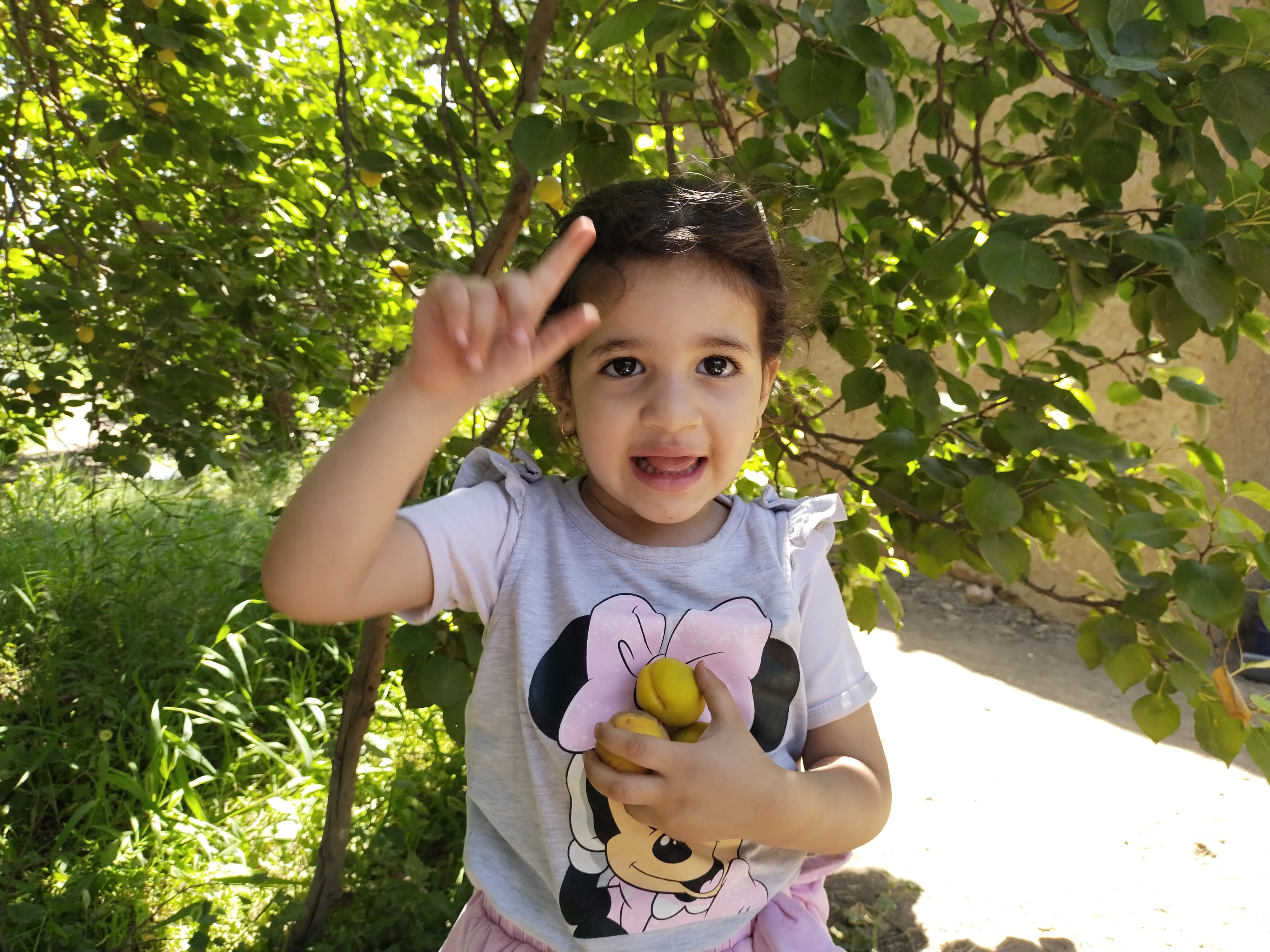 فرحة الاطفال فرحة الاطفال