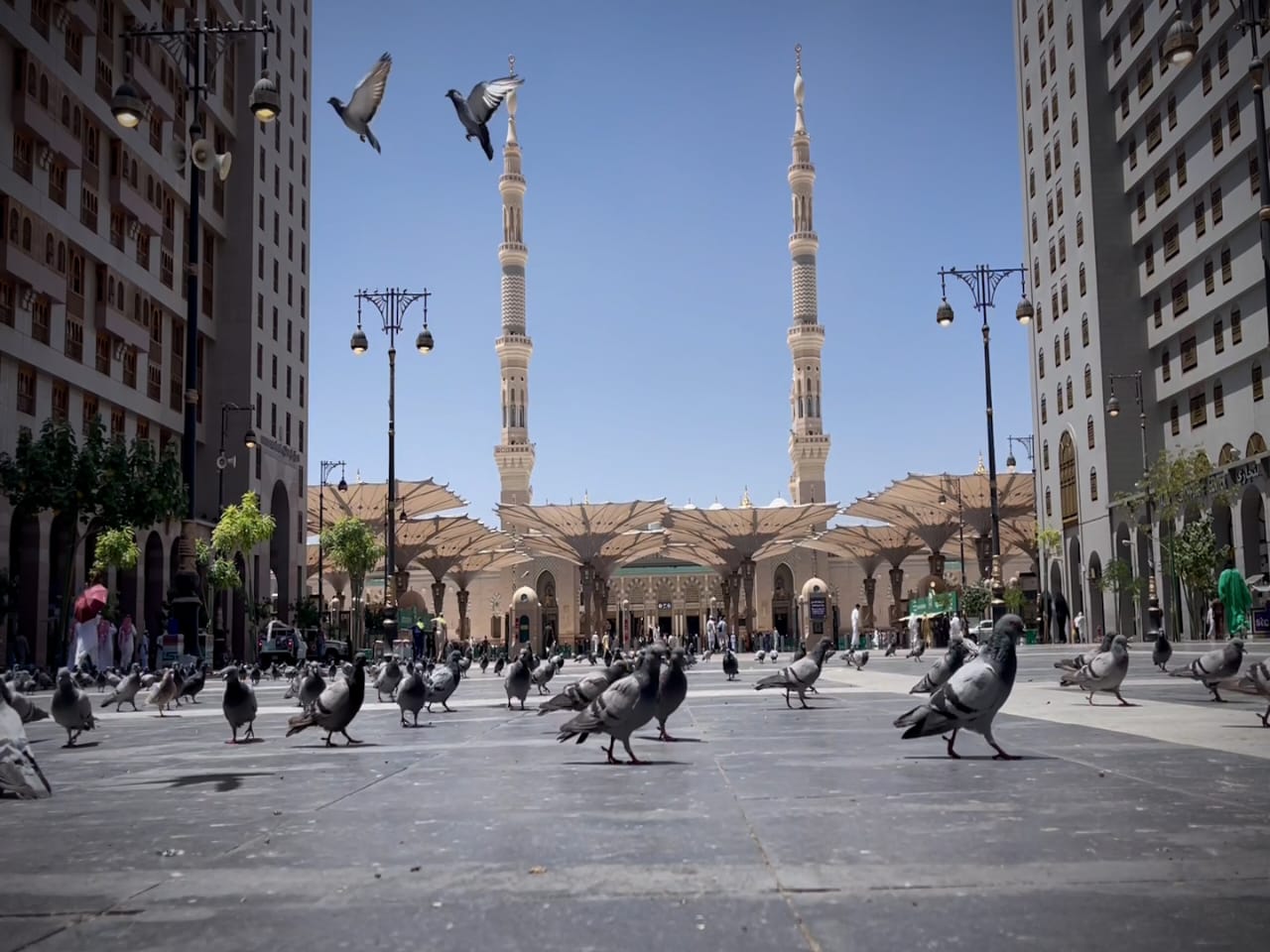 المدينة المنوره