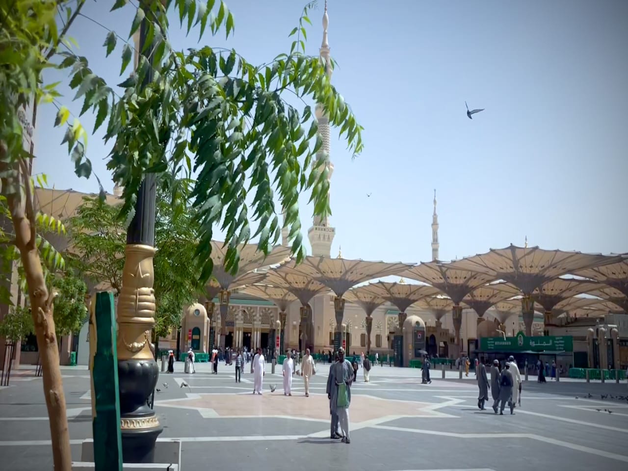 الاراضى المقدسة