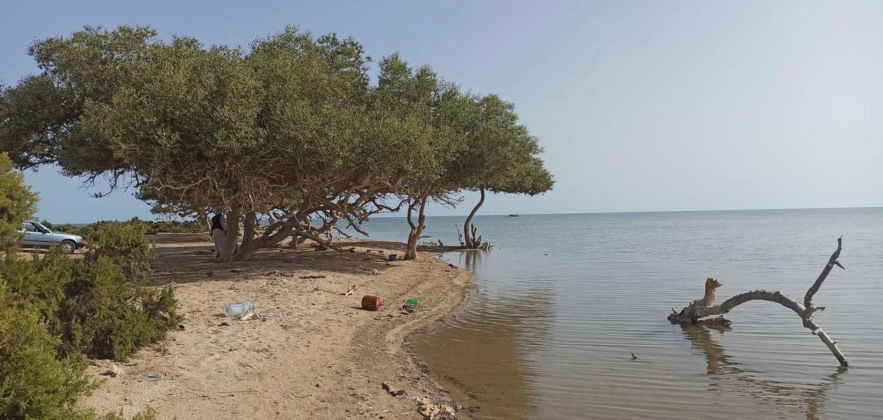 جمال الطبيعة على شواطئ الشلاتين