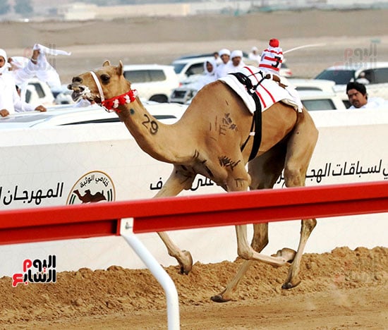 المطية-_مبشره_-الفائزة-بالسيف-الذهبي-و٥٠٠-مليون