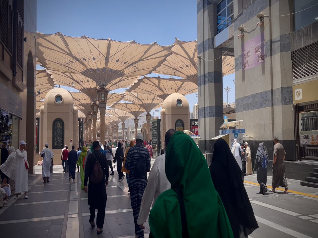 بعثة الحج المصرية (2)